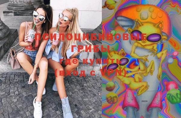 индика Верхнеуральск