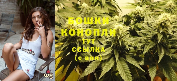 индика Верхнеуральск